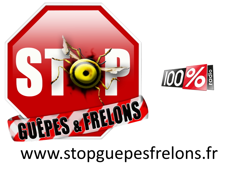 Logo Stop Guêpes et Frelons et 100%